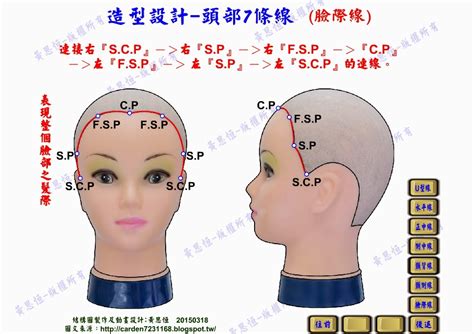 頭部七條基準線中，側頭線是|髮型設計系列：15個基準點及7條主分區線的位置與作。